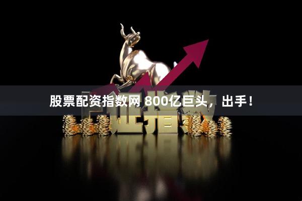 股票配资指数网 800亿巨头，出手！